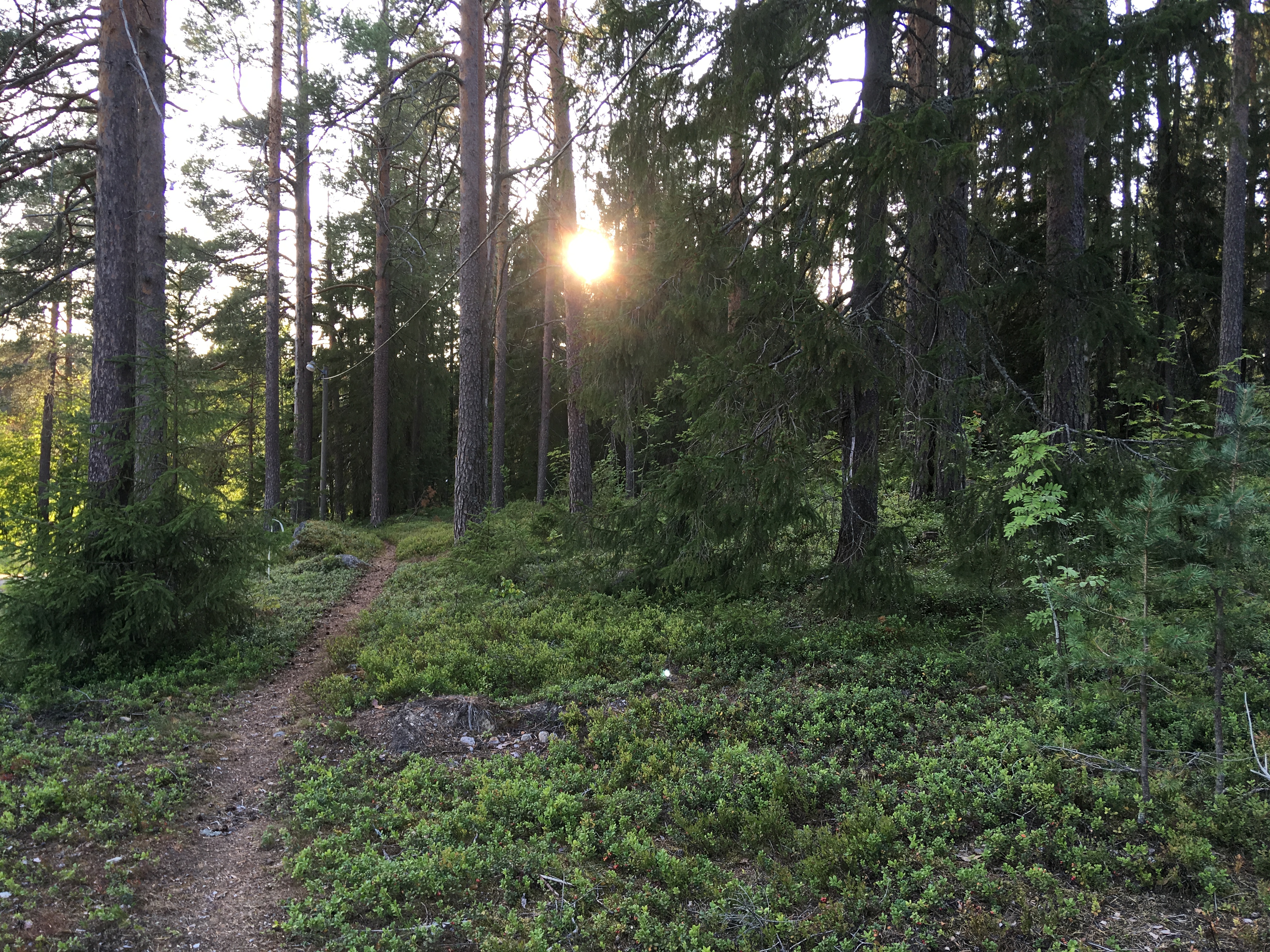 Gamla elljusspåret